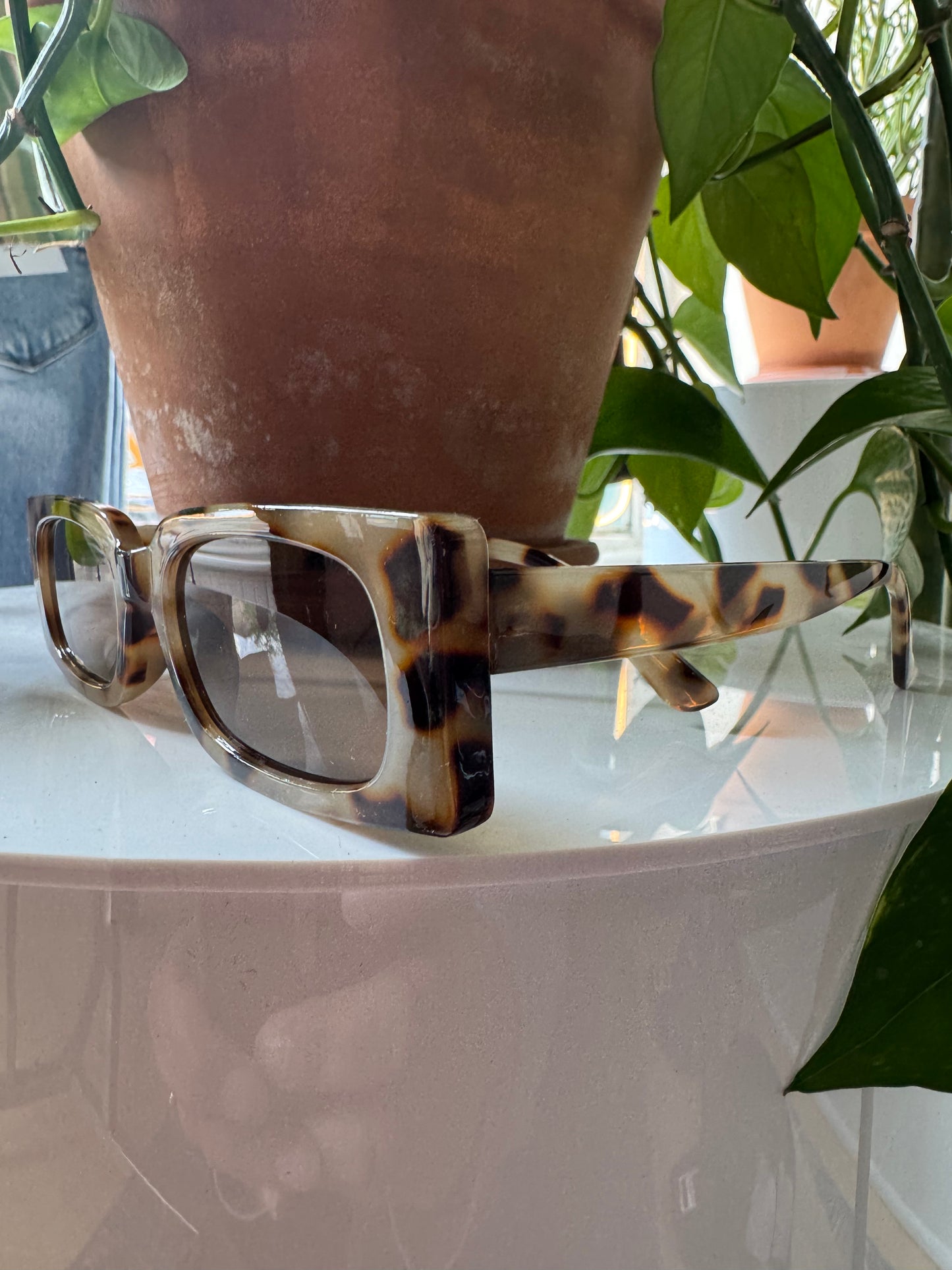 Squared ARVO Sunglasses