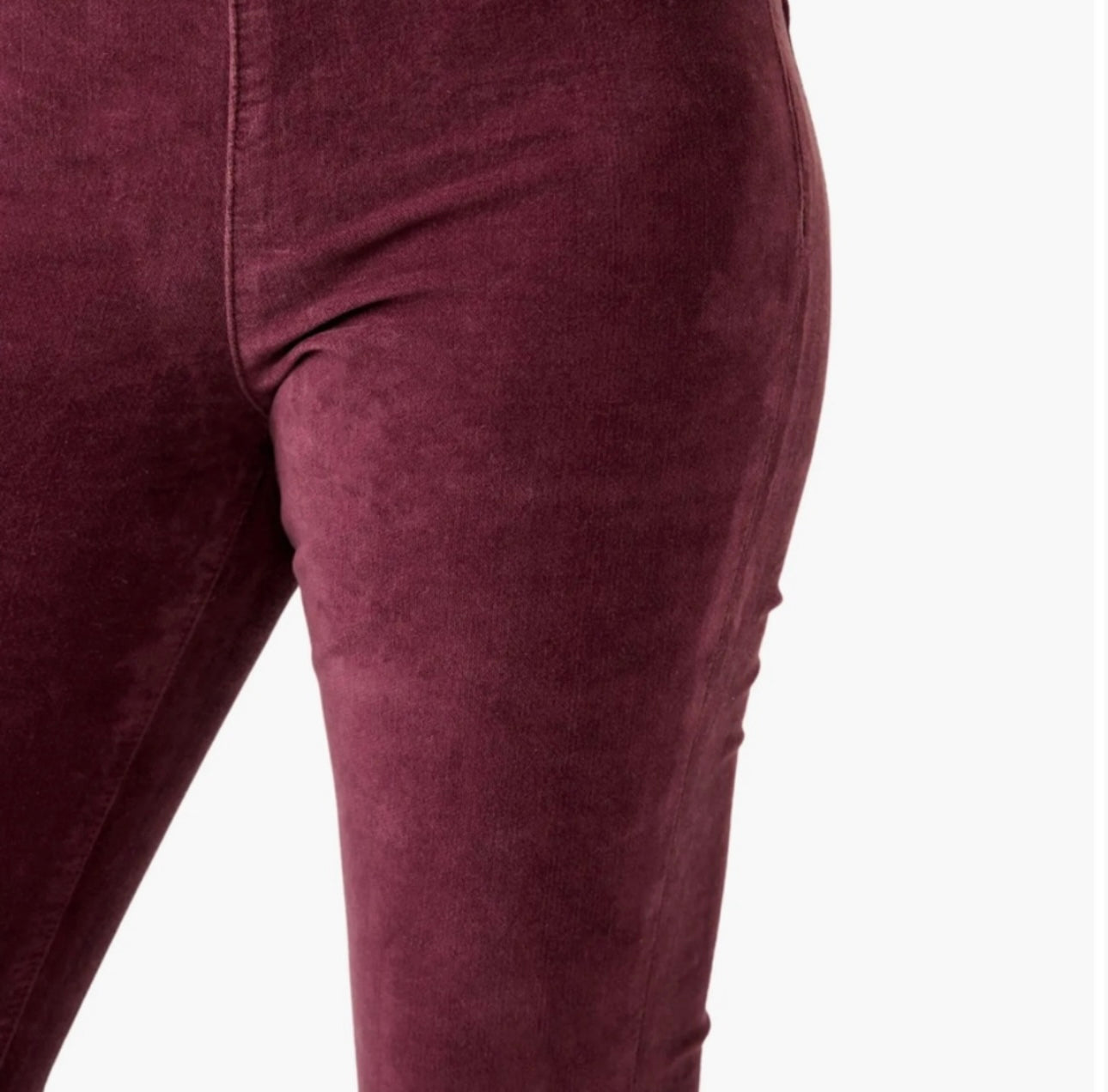 Free People Velvet Plum Pants