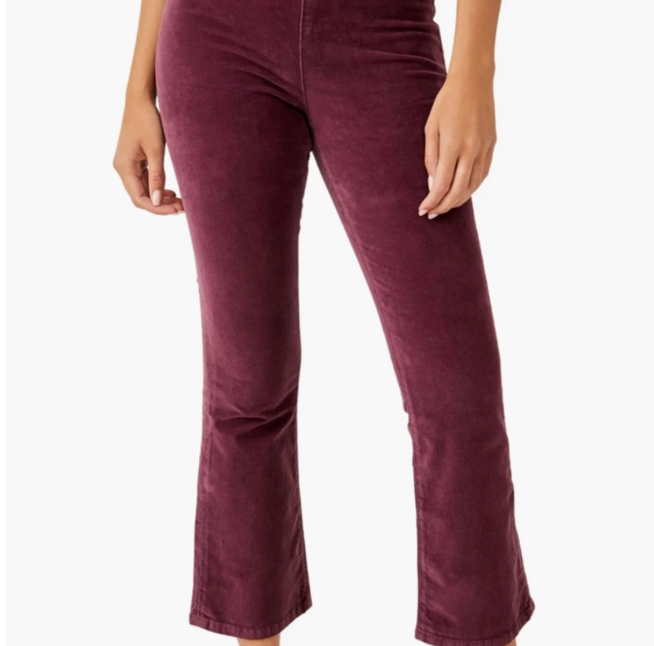 Free People Velvet Plum Pants