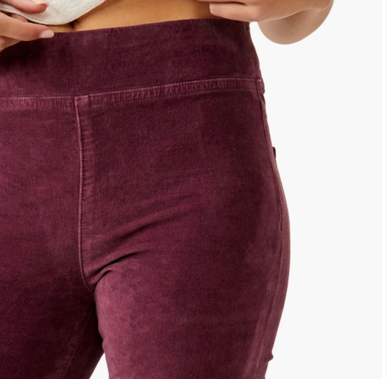 Free People Velvet Plum Pants