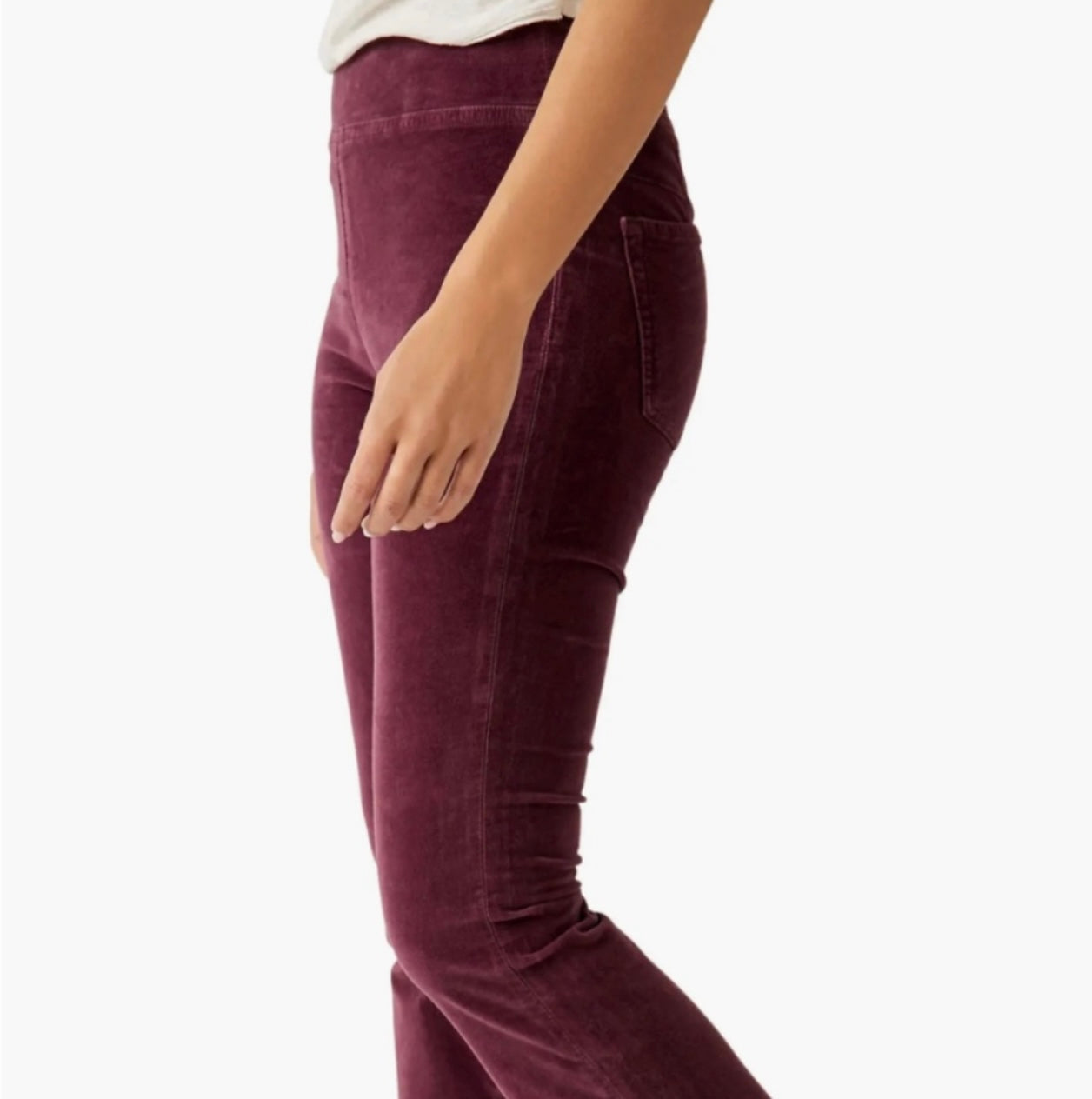 Free People Velvet Plum Pants