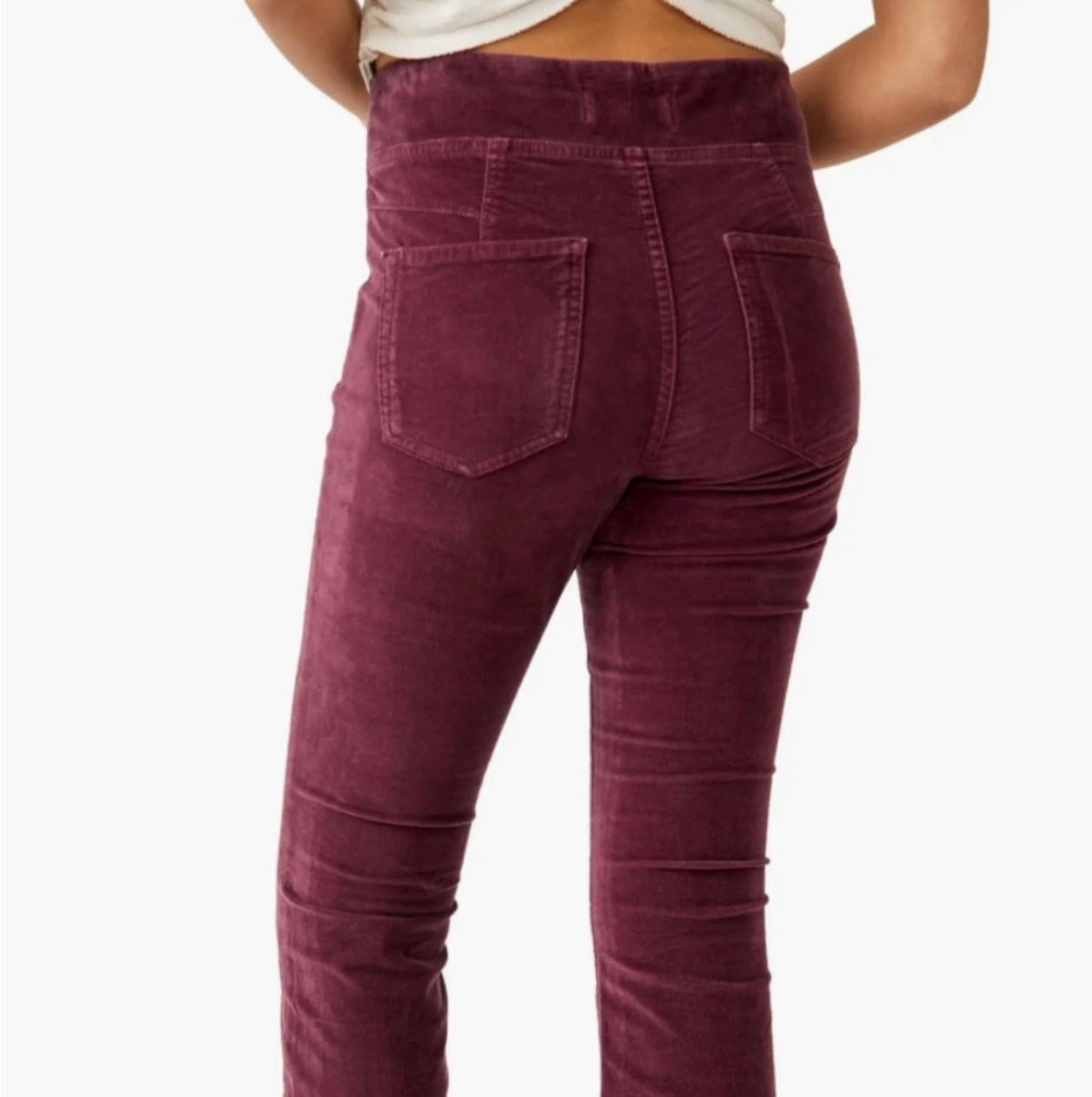 Free People Velvet Plum Pants