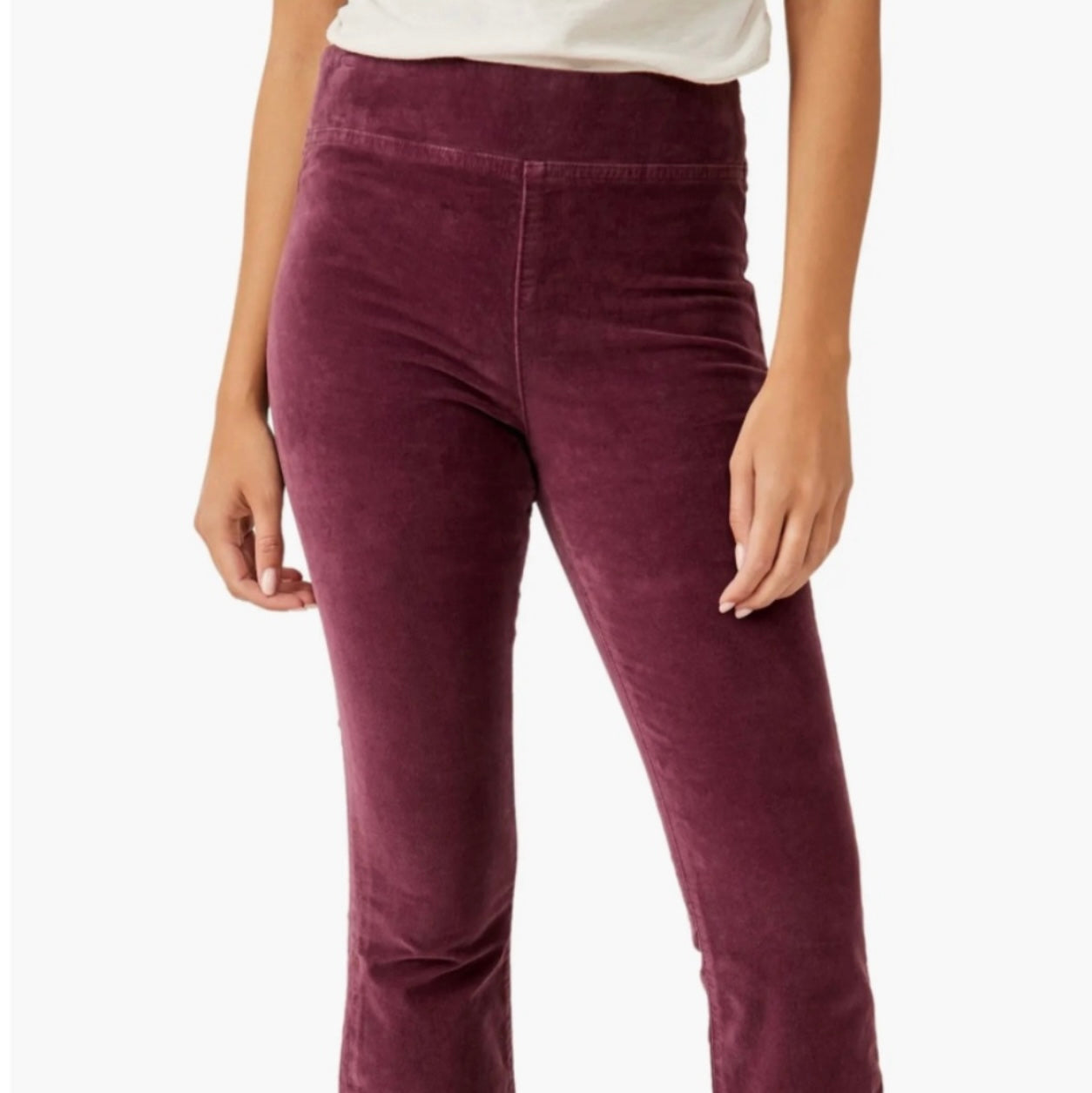 Free People Velvet Plum Pants